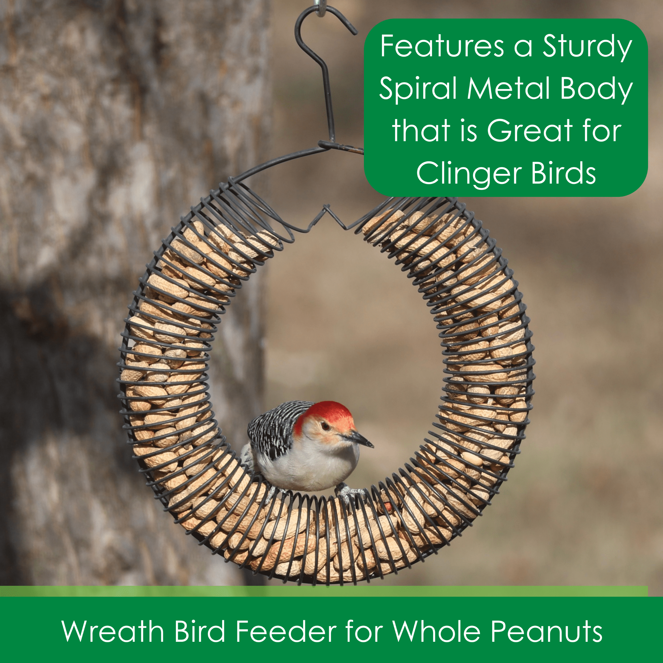 Songbird Essentials Bird Feeder Squirrel Feeder Whole Peanuts Wreath Black