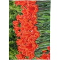 thumbnail image 7 of SKYSONIC 60”x90" Square Tablecloth with Blooming Tulip Bushes Prints, Anti-Wrinkle and Smooth Table Cloth for Kitchen/Home Decoration, 7 of 7