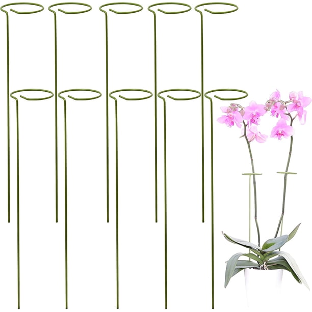 CHAO Tutor de 10 plantas | Soportes para Plantas y Flores Trepadoras | Tutor verde | Ayude a que sus flores crezcan | Estacas de jardín de tomate | Estacas para orquídeas, amarilis, peonías, pimientos