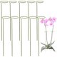 thumbnail image 1 of CHAO Tutor de 10 plantas | Soportes para Plantas y Flores Trepadoras | Tutor verde | Ayude a que sus flores crezcan | Estacas de jardín de tomate | Estacas para orquídeas, amarilis, peonías, pimientos, 1 of 5