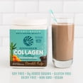 thumbnail image 6 of Sunwarrior Vegan Collagen Chocolate Protein Powder with Biotin & Hyaluronic Acid 20 Servings, 6 of 8