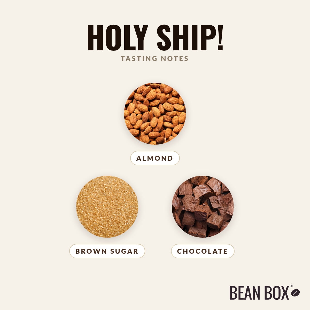 Holy Ship - Roasted by Longshoreman's Daughter Coffee - Whole Bean Coffee - 12oz Bag