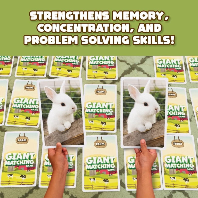 PlayMonster Farm Animals Giant Matching Game photo 4