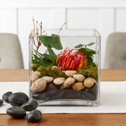 6 Pack: 7 Square Vase by Ashland