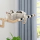 thumbnail image 3 of Percha para ventana de gato Zulema hamaca resistente para gatos Asiento de ventana 60 cm x 39,5 cm x 21,5 cm, 3 of 8