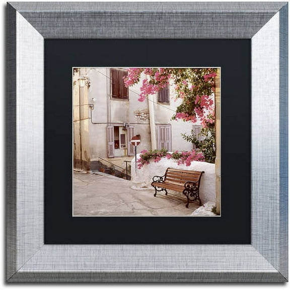 Trademark Fine Art "Provence I" Canvas Art by Alan Blaustein, Black Matte, Silver Frame