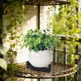 thumbnail image 6 of Large Plant Pot Feet Garden Pot Elevation Stands Drainage Pads Aeration Bases Modular Pot Lifters for Big Pots Indoor Outdoor （Black）, 6 of 6
