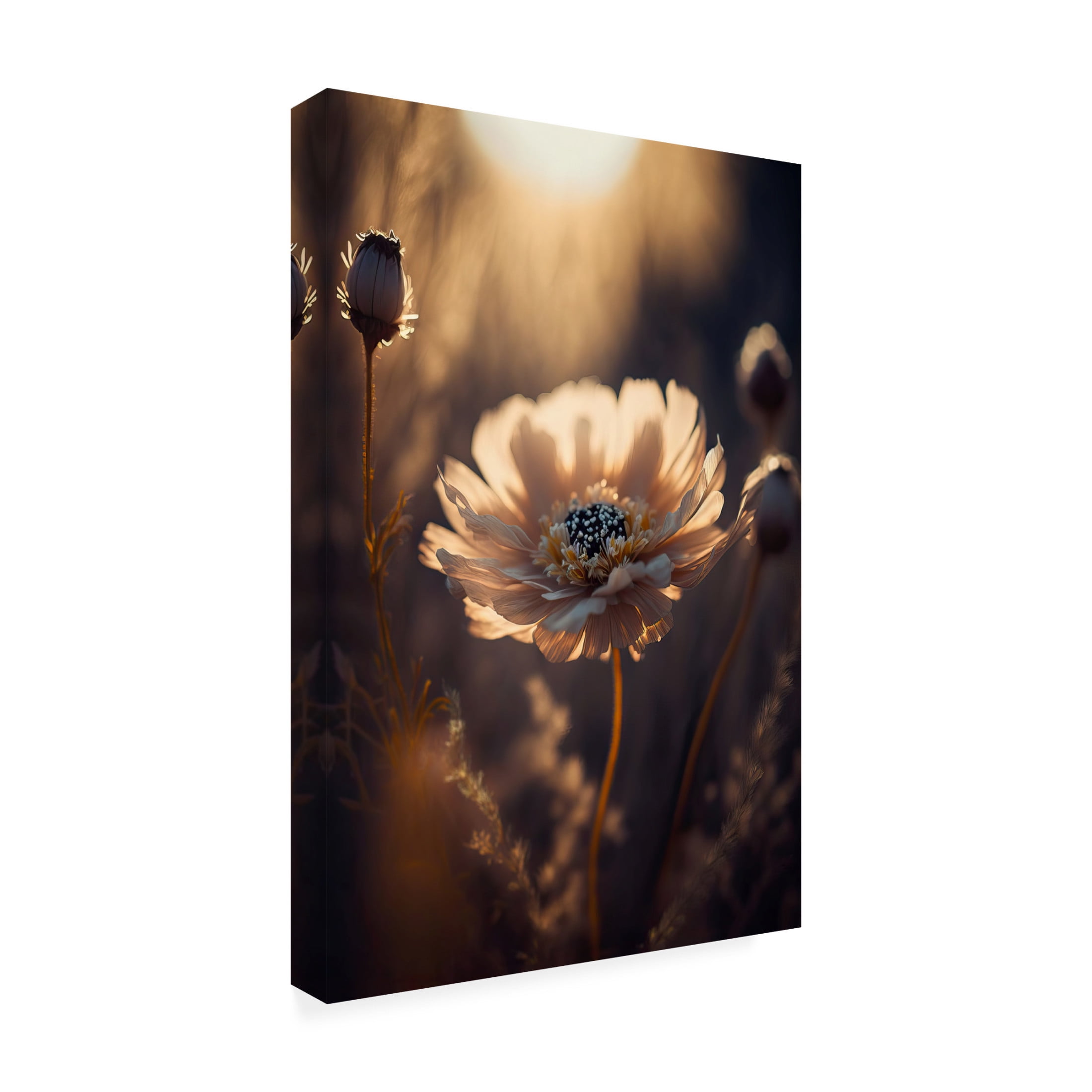 Canvas Wall Art - Treechild 'Flower in Morning Sun' Wall Art for Living Room, Bedroom, or Office D?cor by Trademark Fine Art - 16 x 24 Inches
