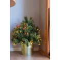 thumbnail image 4 of Home Heritage 26 Inch Artificial Holiday Shrub with LED Lights (2 Pack), 4 of 7