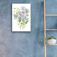 thumbnail image 3 of Epic Art 'Columbine Spray II' by Tim O'Toole, Acrylic Glass Wall Art, 16"x24", 3 of 3
