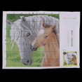 thumbnail image 4 of MesaSe 1 Kit de Crochets pour Adultes Cheval, 4 of 8