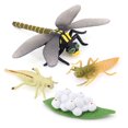 thumbnail image 1 of verishout 1 Set Life Cycle Models Exquisite Interesting Display Prop Unique Simulation Education Props Animal Toy for Children Dragonfly 1Set, 1 of 5