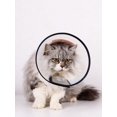 thumbnail image 2 of 1pc Pet Elizabeth Circle Collar For Dogs/Cats, Anti-Bite Anti-Scratch Neck Brace For Small/Medium/Large Pets, Beauty & Recovery Accessory, 2 of 4