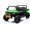 Green, variant on 24V 2-Seater Electric Ride-On Dump Truck, 4WD UTV with Electric Dump Bed, Remote Control, Shovel, Music, Bluetooth, LED Headlights and Spring Suspension,Red