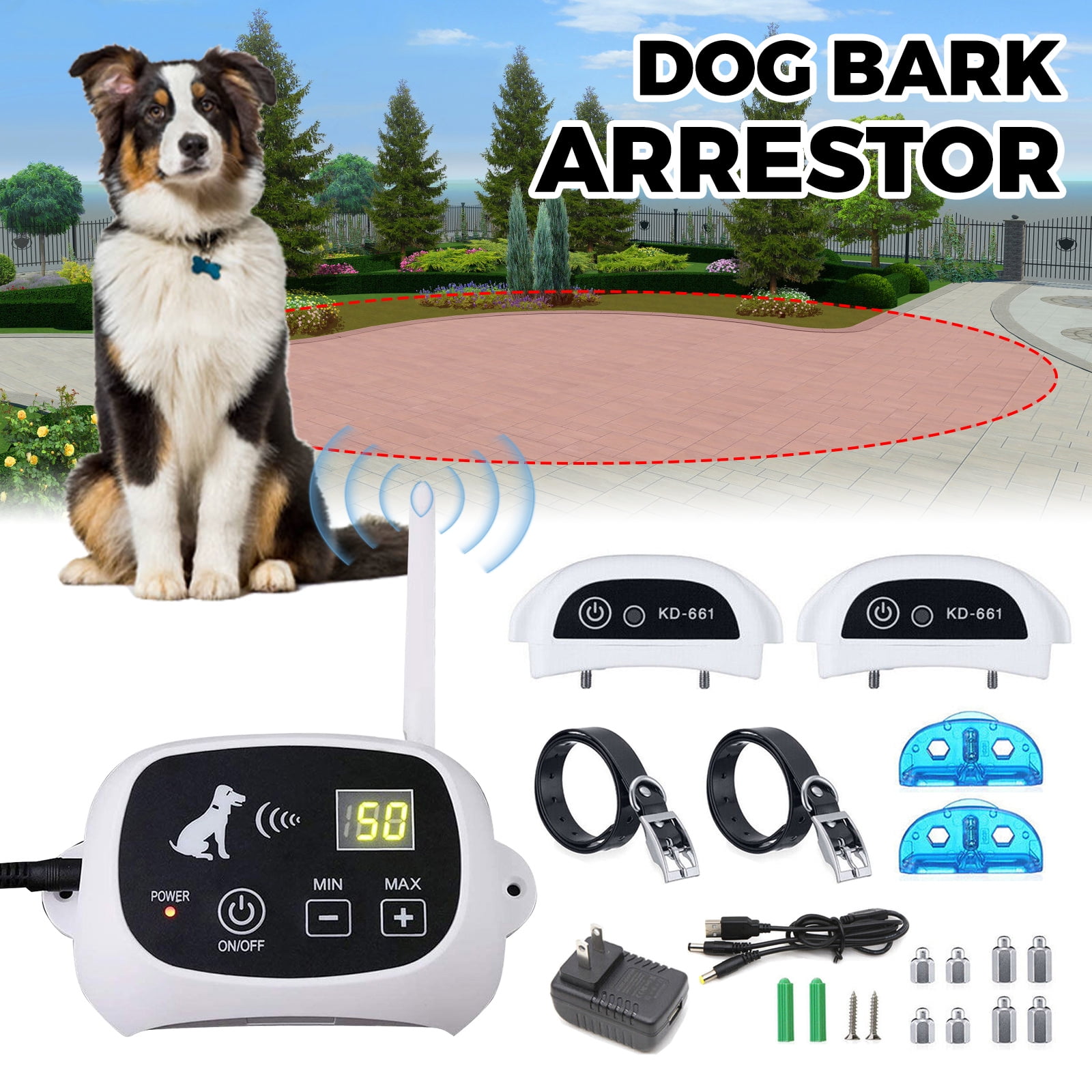 Are Electric Collars Fences Safe For Dogs