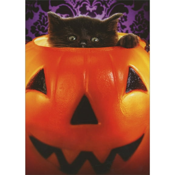 Avanti Press Black Kitten Peaking Head Out of Pumpkin Candy Bucket Halloween Card