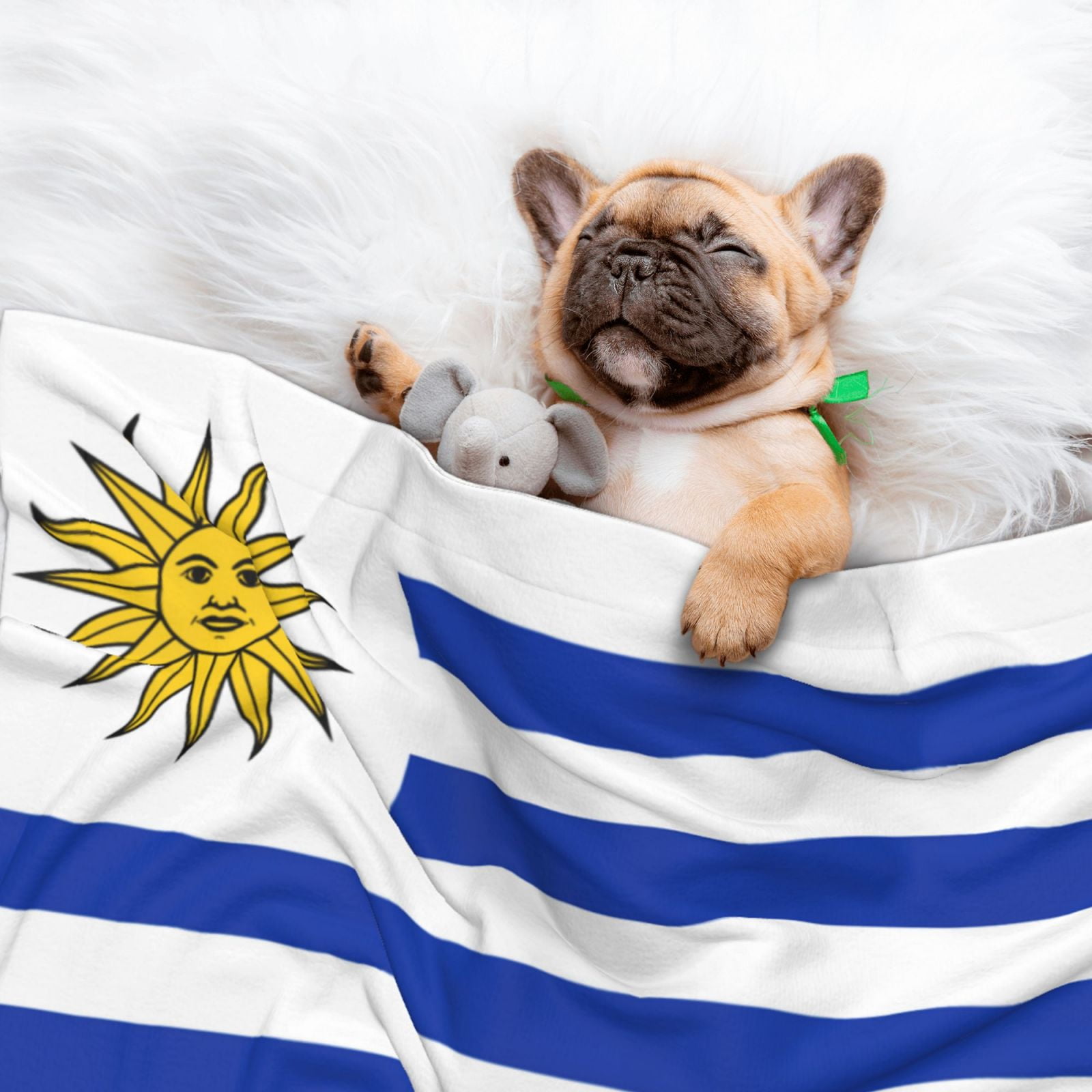 Uruguay Flag Dog Blanket Soft Warm Flannel Cat Blanket Great Pet Throw for Cats Puppy Small Medium Large Dog