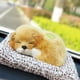 thumbnail image 3 of Bolsa de Bambú BuyWeek para Adorno de Coche, 3 of 5