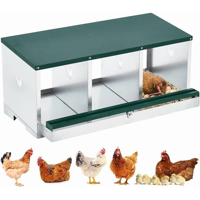 Bingirl Nesting Boxes for Chickens, a 3-compartment metal chicken nesting box with a green swing perch and rollout egg collection system. Constructed from galvanized steel with ventilation holes for durability and fresh air circulation. Designed for wall mounting and easy assembly with included hardware. One compartment is shown with a hen laying eggs on straw bedding. Ideal for farm animals and chicken coops, promoting healthy egg-laying conditions. Additional chickens and chicks are displayed in the foreground.