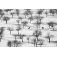 thumbnail image 2 of Sabol, Petar 24x17 White Modern Wood Framed Museum Art Print Titled - Run, 2 of 4