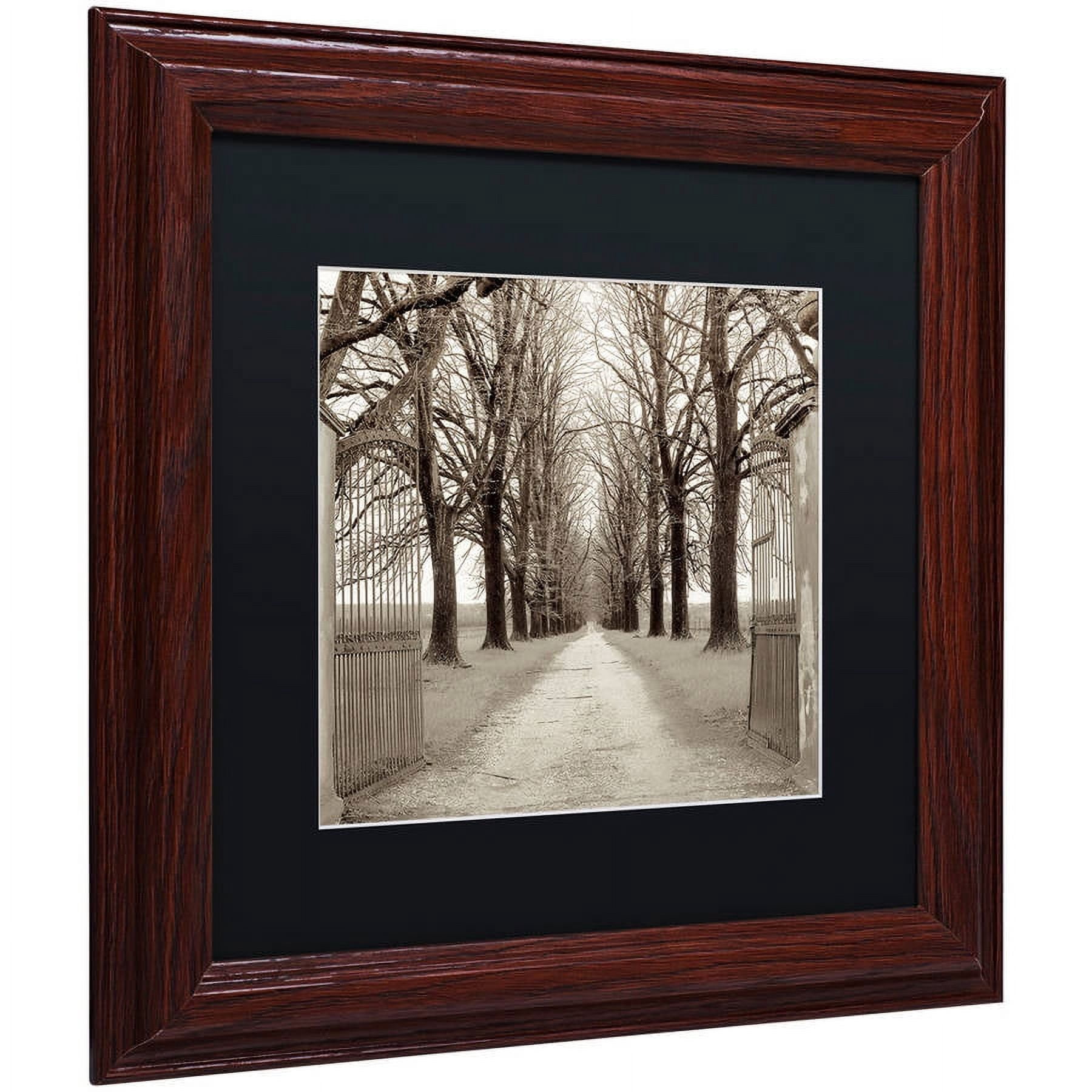 Trademark Fine Art "Veneto Giardini I" Canvas Art by Alan Blaustein, Black Matte, Wood Frame