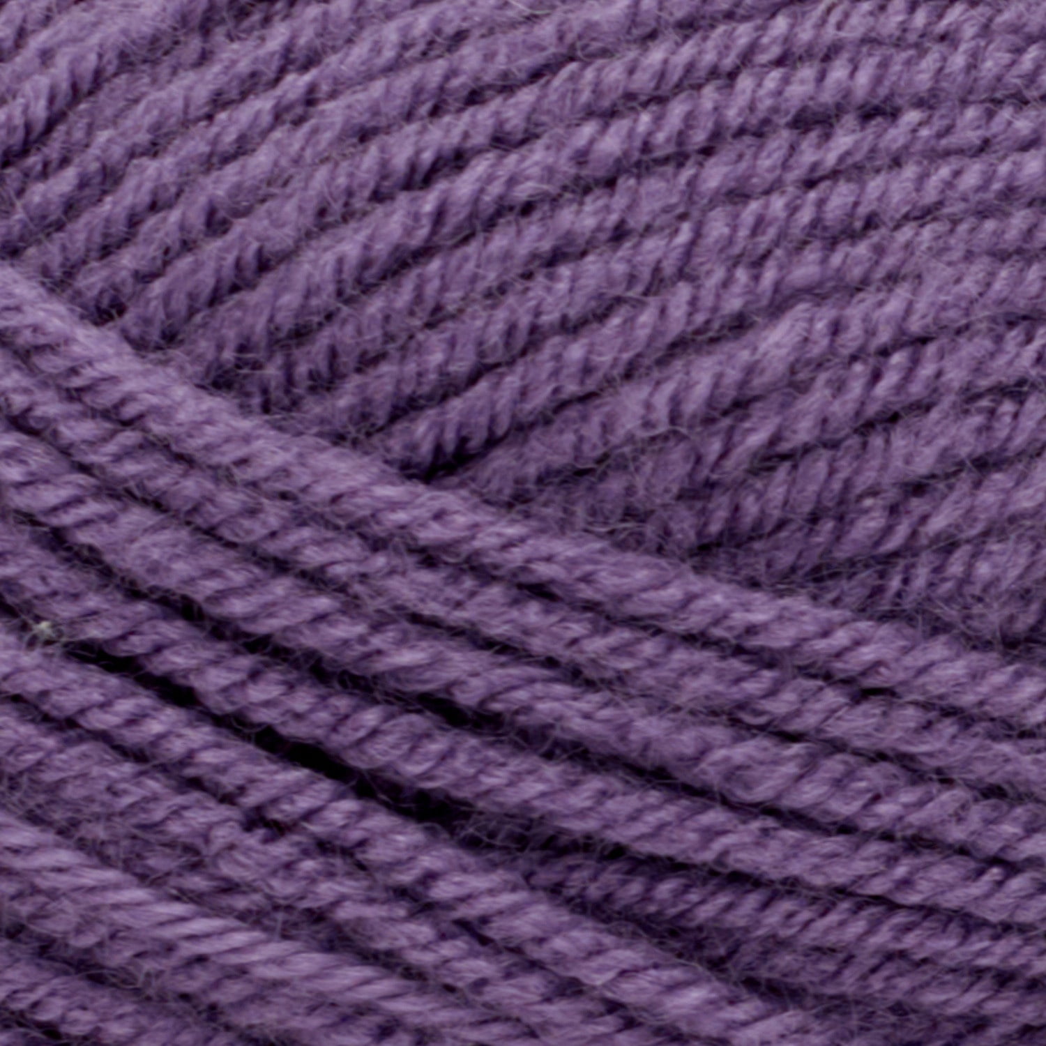 1142|21 Grape