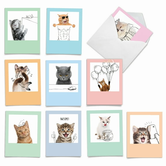 10 All Occasion Blank Note Cards Pack (4 x 5.12 Inch) - FELINE GRAFFITI