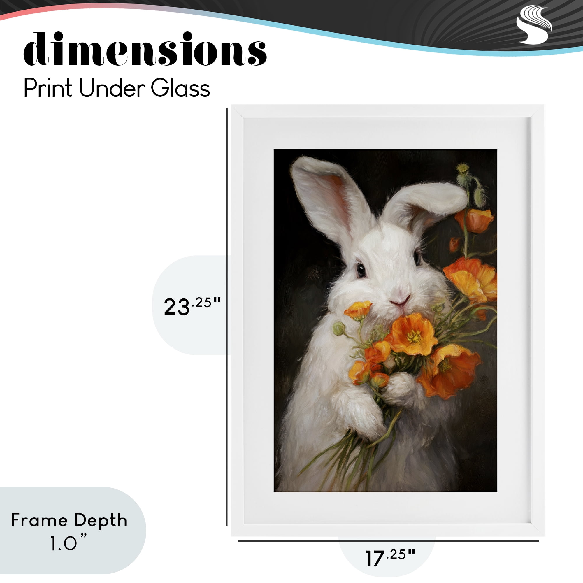 Stupell Industries Floppy Loves Her Poppies White Framed Print Under Glass, design by Tina LeCour