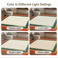 thumbnail image 7 of ODIKA 2'x3' Washable Throw Rug Doormat Door Symmetrical Welcome Motif Lgbt Striped Bold Interlocking for Hallway, Study Room, Non-Slip Low Profile, Flatwoven, 7 of 7