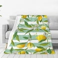 thumbnail image 1 of Fotbe Lemon Manta de Franela Acolchonada con Estampado, Súper Suave y Esponjosa, Extra Grande para Sofá, Cama, Uso Todo el Año-60"x50", 1 of 7