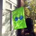 thumbnail image 2 of Carolines Treasures BB8175CHF Sunglasses Green Polkadot Flag Canvas House Size  Large multicolor, 2 of 4