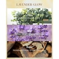thumbnail image 2 of M&SENSE Natural Soy Wax Lavender Glow Candle Scented for Home, 14.1oz 60 Hours Long Lasting Candles Non Toxic for Home Decor, Large Aromatherapy Lavender Candle for Stress Relief, Spa, Meditation, 2 of 8