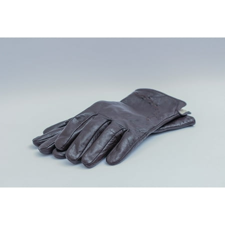 Womens Dark Brown Leather - Laminated Poster Apparel Ladies Dark Brown Leather Gloves Womens Poster Print 11 x 17