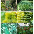 thumbnail image 5 of Red verde para pájaros de jardín, 2m * 47MRed verde para plantas de jardín, malla para cercas de frutas y plantas de jardín, soporte para plantas, protección de árboles frutales, 5 of 5