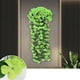 thumbnail image 1 of Flores artificiales, flores falsas, flores artificiales, simulación de violeta, colgante de pared, decoración para bodas, hogar, sala de estar, decoración de techo, envoltura de plástico, plantas, glo, 1 of 8