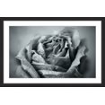thumbnail image 2 of "Classic Rose in Grey" Framed Painting Print, 2 of 4