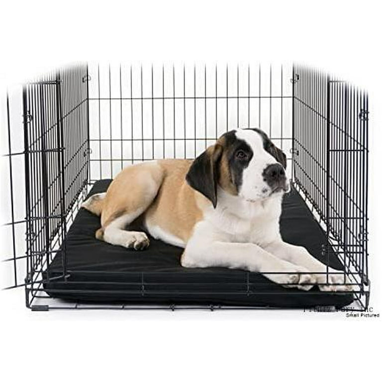Should A Dog Crate Have A Pad
