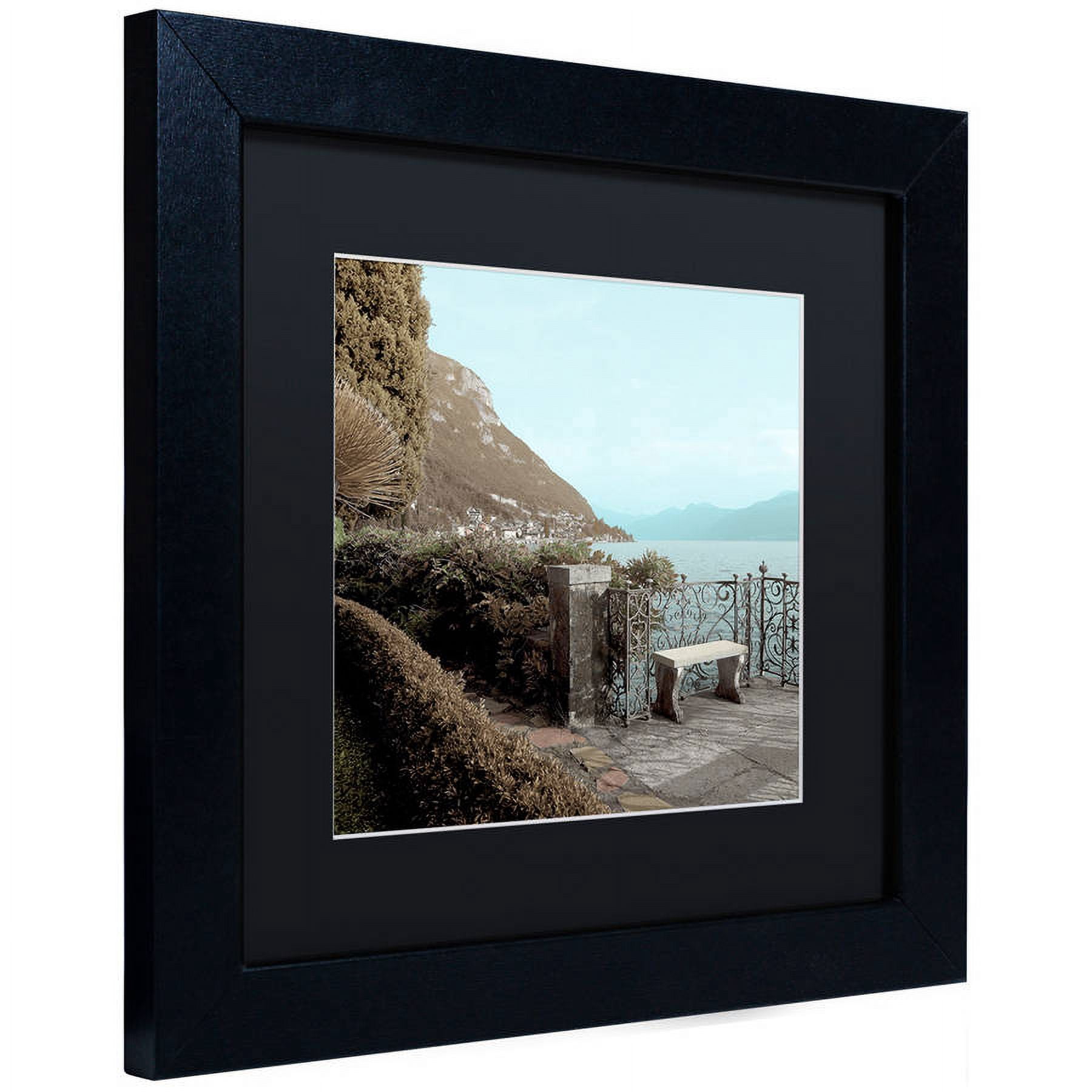 Trademark Fine Art "Lake Vista IV" Canvas Art by Alan Blaustein, Black Matte, Black Frame