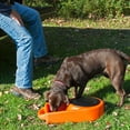 thumbnail image 4 of Dakota 283 Dine N Dash Dog Bowl Feeding System - Orange, 4 of 12