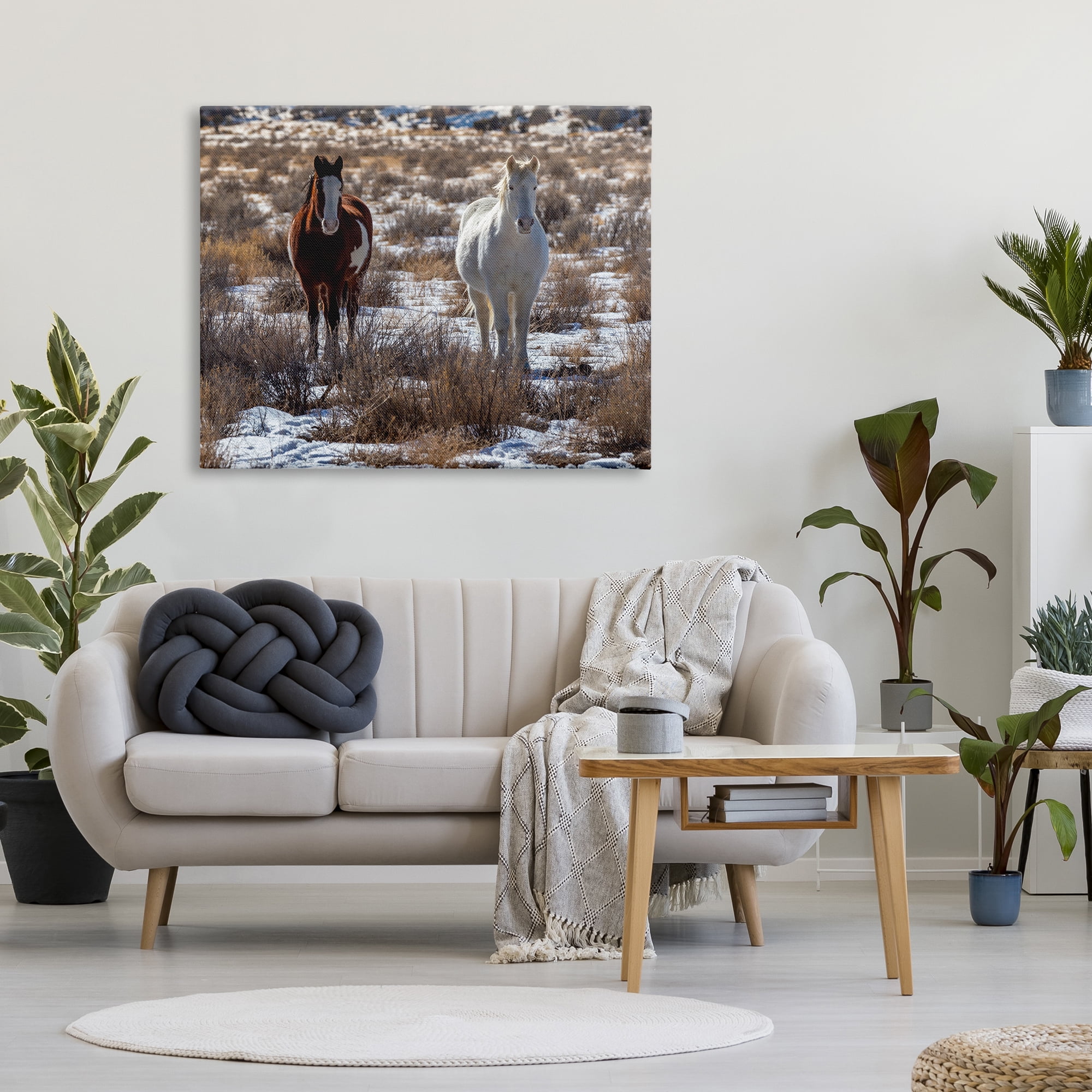 Stupell Industries Pair Horses Walking Through Snow Dusted Grassland Photograph Gallery Wrapped Canvas Print Wall Art, Design by Jeff Poe Photography