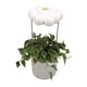 thumbnail image 3 of Lluvia de riego de plantas, dispositivos de riego de plantas de plástico, riego automático de plantas, hermoso regalo, divertido y único, 3 of 5