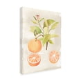 thumbnail image 2 of Trademark Fine Art 'Watercolor Fruit V' Canvas Art by Naomi Mccavitt, 2 of 3