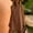 Brown, variant on Ayolanni Crew Neck Dresses for Women Solid Sleeveless Casual Midi Tank Dress Cotton Linen Above Knee Beach Soft Vacation Sundress Brown L