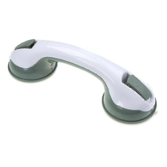 Toilet Handrail