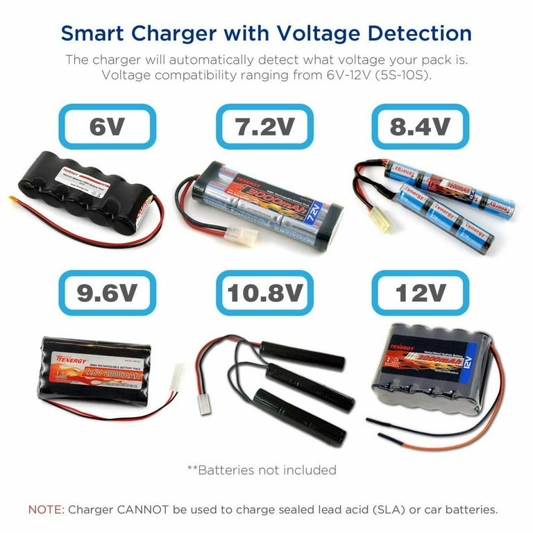Rc car sales batteries 12v