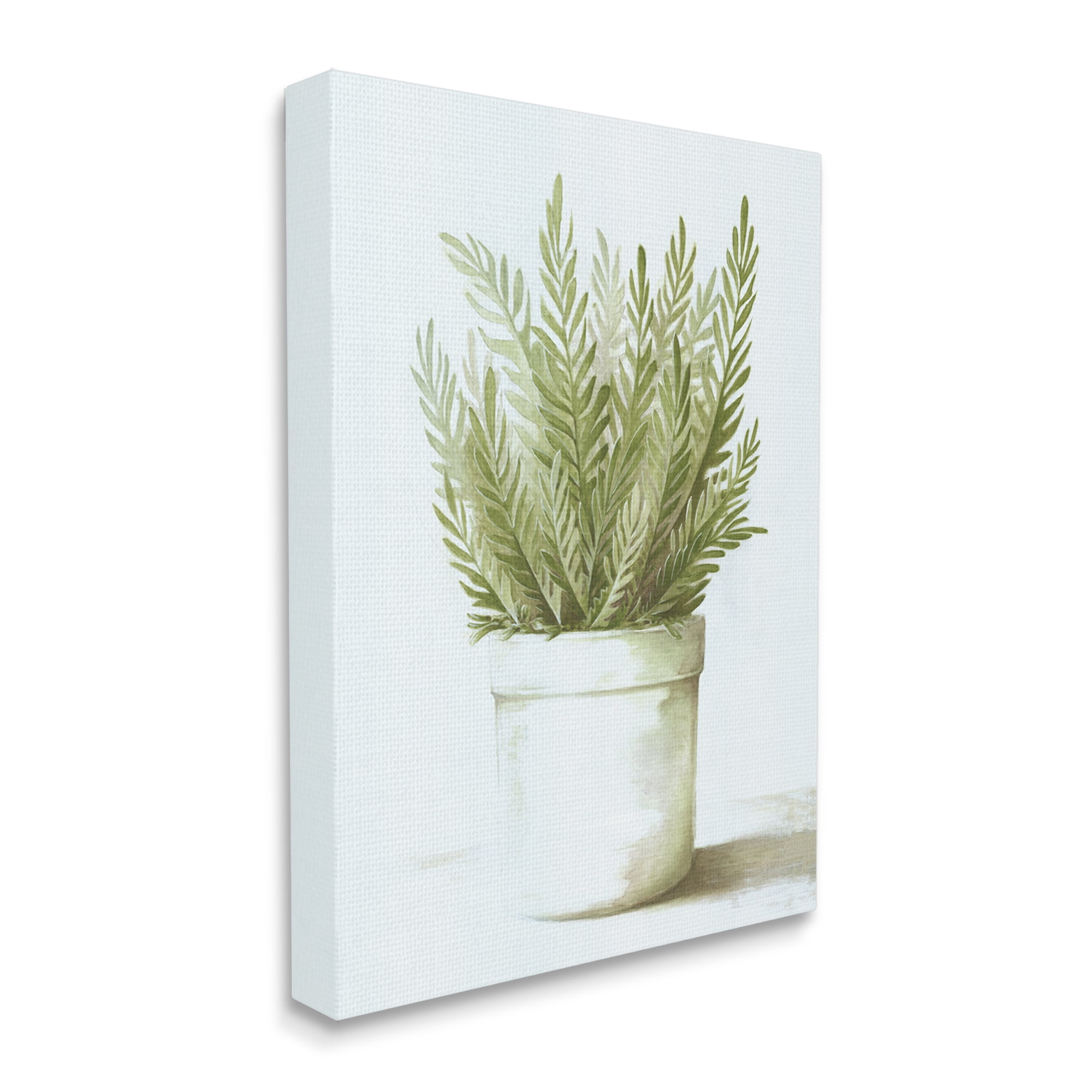 Stupell Industries Traditional Green Plant Leaves Emerging Herbal Botanicals Painting Gallery Wrapped Canvas Print Wall Art, Design by Dogwood Portfolio