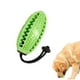 thumbnail image 1 of Palo de cepillo de dientes verde Jormftte LL-1699-2, 1 of 6