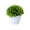 A, variant on ZZERHUOO Bonsai Desktop Decorative Arrangement With Low For Home (Green) Carnation Flowers Wedding Flower Stand Wedding Decorations Flower Arrangements in Vase Yule Altar Acrylic Water for Flowers