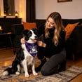 thumbnail image 6 of Pet Bandana, Halloween Purple Black Buffalo Plaid Haunted House Pattern, 1 Pack Washable Triangle Dog Cat Scarf, for Halloween Costume Party Pet Photo Prop Daily Wear Holiday Decoration, 6 of 6