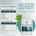 thumbnail image 5 of Nature's Lab Enzym Balance - 180 Capsules (6 Month Supply) - 16 Digestive Enzymes with Aloe, Turmeric, Ginger, Oregano - Ease Gas, Bloating & Constipation*, 5 of 6